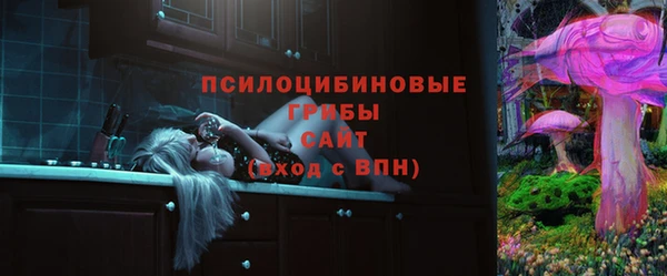 2c-b Семёнов