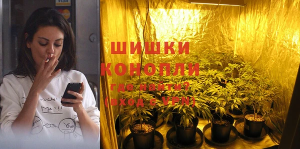 2c-b Семёнов