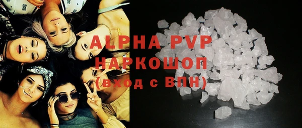 прущие грибы Семикаракорск